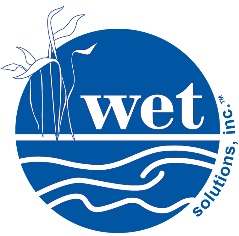 WET Solutions Inc.